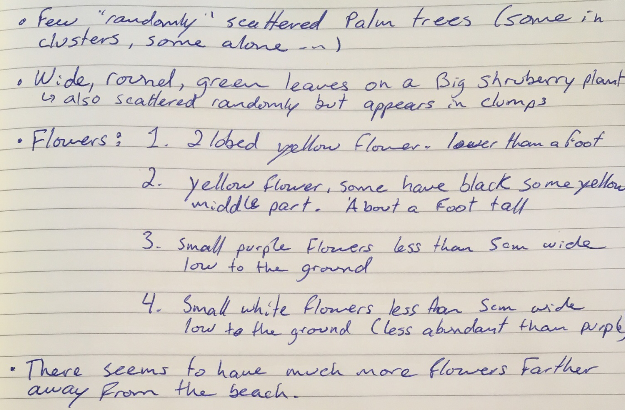 Field notes 1